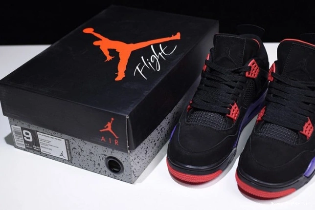 Jordan Retro AQ3816-065 Raptors